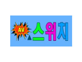 AV스위치